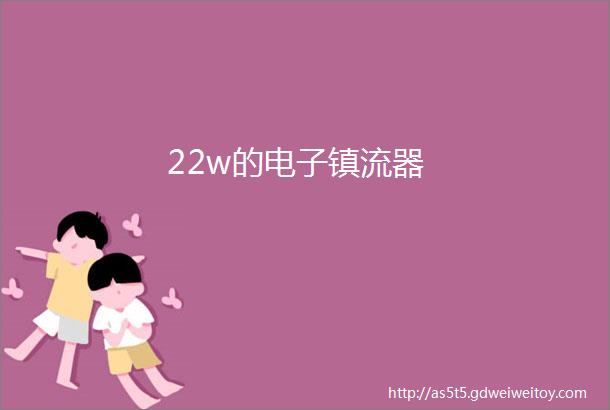 22w的电子镇流器