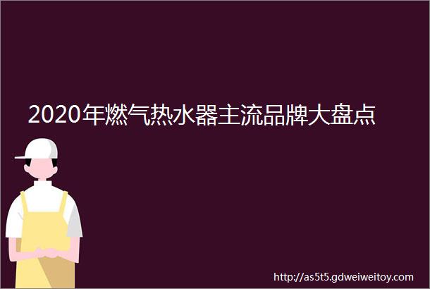 2020年燃气热水器主流品牌大盘点