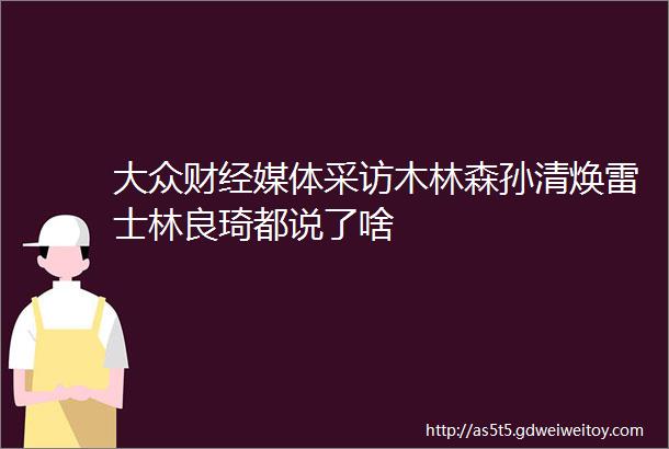 大众财经媒体采访木林森孙清焕雷士林良琦都说了啥